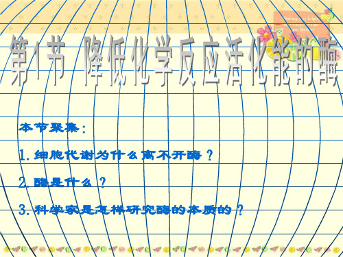 酶及其理化性质