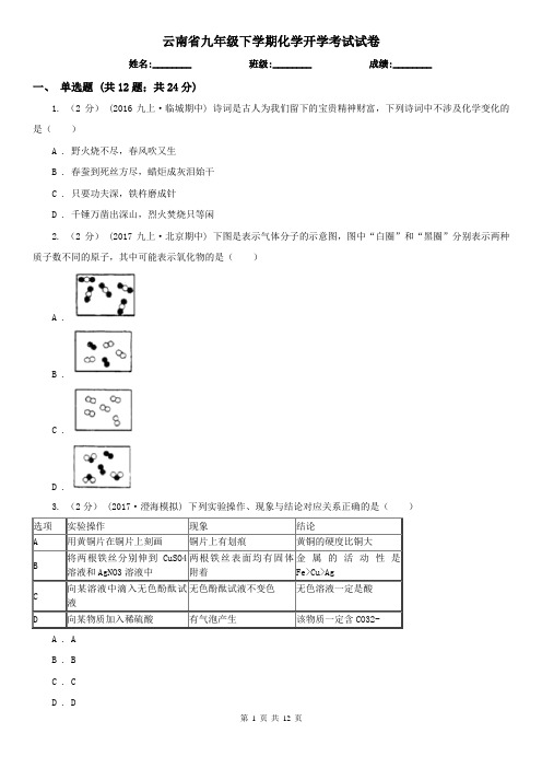 云南省九年级下学期化学开学考试试卷