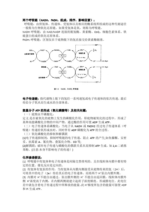 生化期末复习(代谢部分)