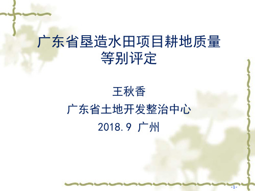 广东省垦造水田项目耕地质量等别评定