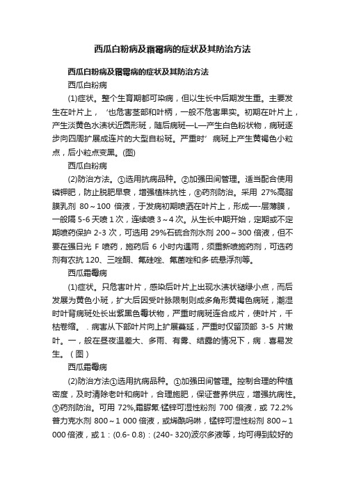 西瓜白粉病及霜霉病的症状及其防治方法