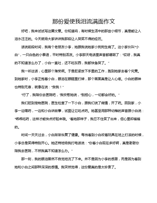 那份爱使我泪流满面作文