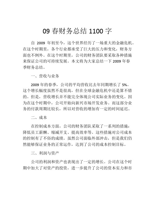 09春财务总结1100字