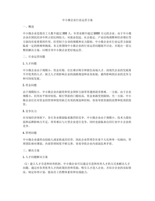 中小微企业行业运营方案