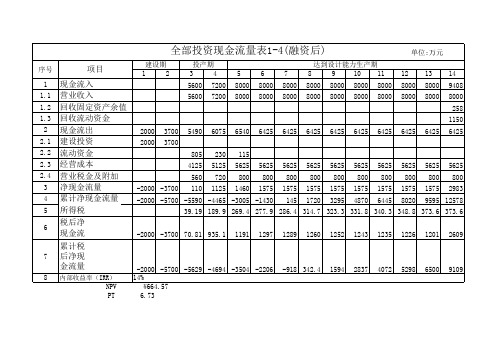 项目投资财务现金流量表(融资后)