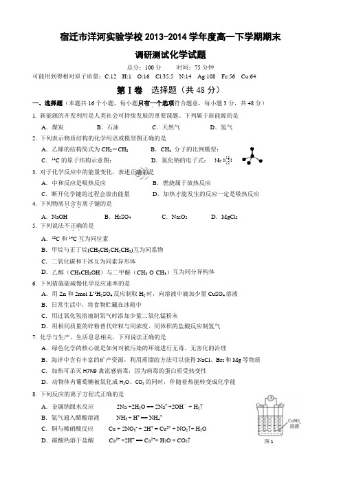 江苏省宿迁市洋河实验学校2013-2014学年高一下学期期末考试 化学 Word版含答案