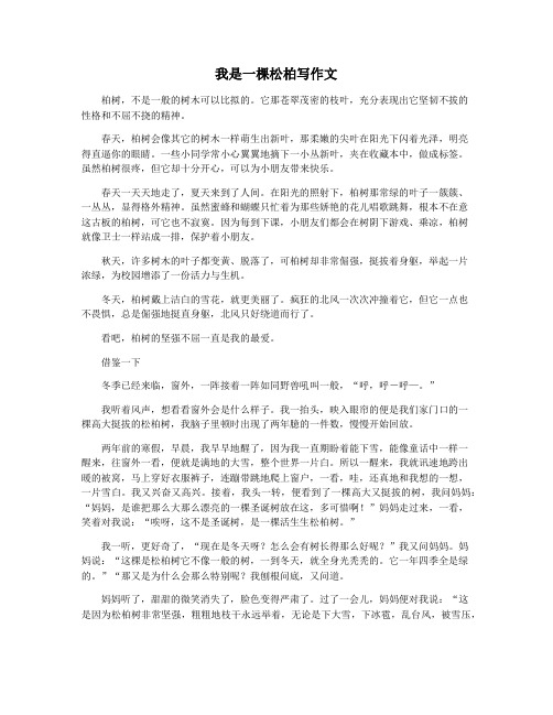 我是一棵松柏写作文