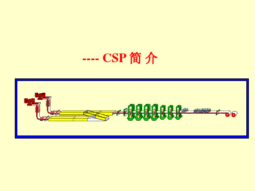 某企业CSP介绍