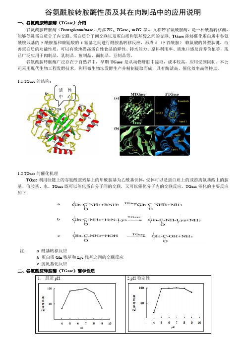 TG谷氨酰胺转胺酶性质及其在肉制品中的应用说明