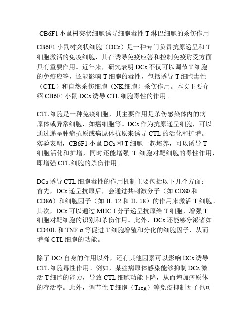 CB6F1小鼠树突状细胞诱导细胞毒性T淋巴细胞的杀伤作用