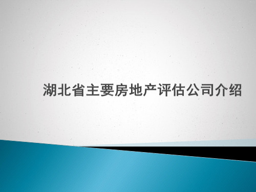 湖北省主要房地产评估公司介绍