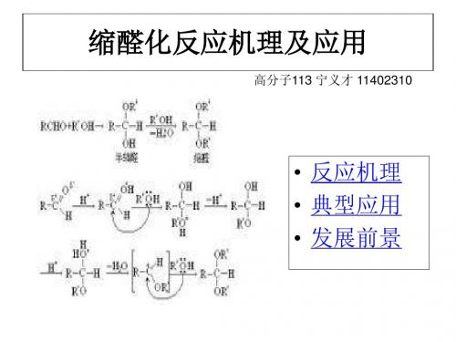 缩醛反应机理及应用-精选文档