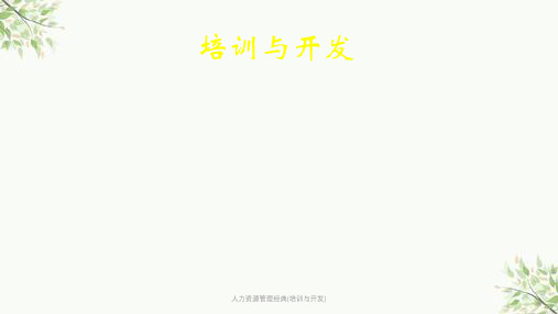 人力资源管理经典(培训与开发)课件