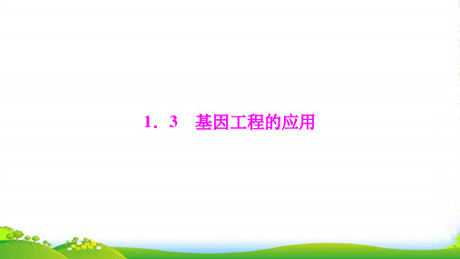 生物人教版选修三优化课件：专题1 1.3 基因工程的应用