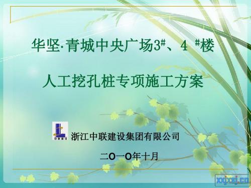 人工挖孔桩方案及专家评审ppt格式演示文稿