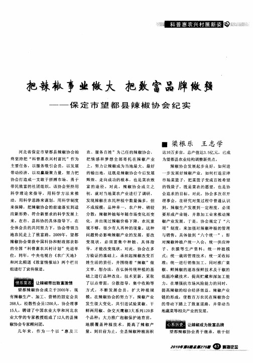 把辣椒事业做大  把致富品牌做强——保定市望都县辣椒协会纪实