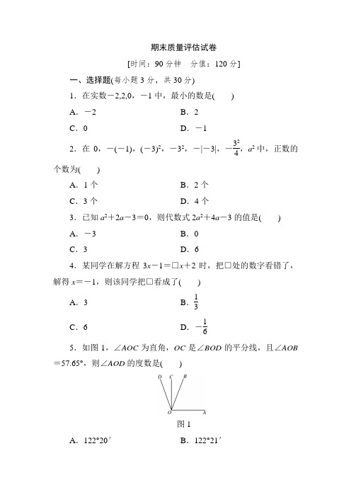 新人教版七年级上册数学期末质量评估试卷(含答案)