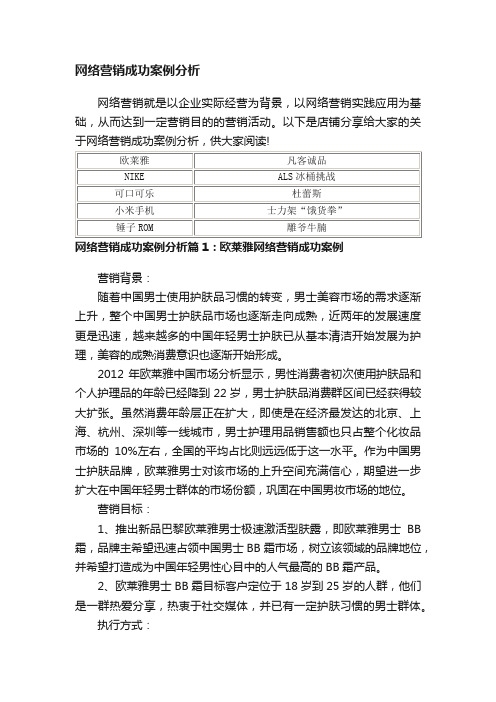 网络营销成功案例分析