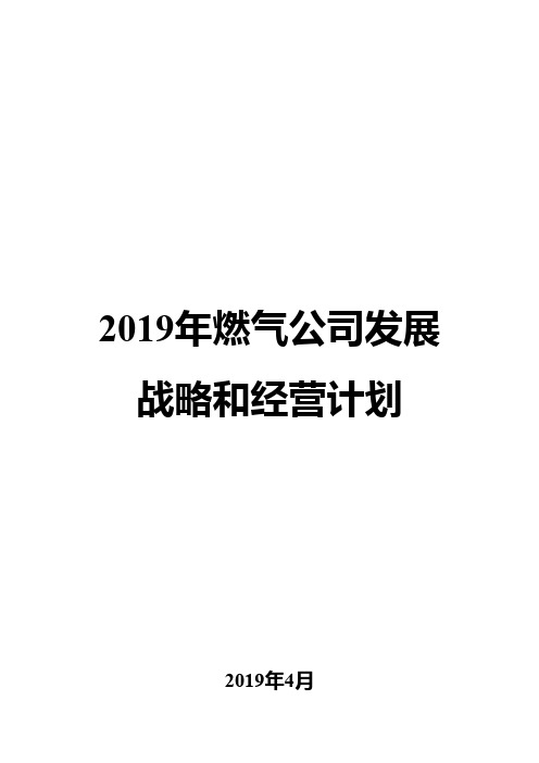 2019年燃气公司发展战略和经营计划