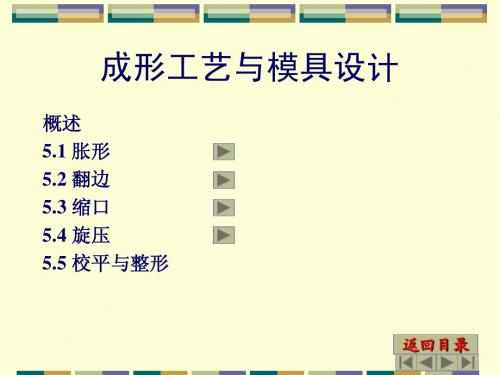 第五章成形工艺与成形模设计