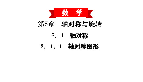湘教版七年级数学下册 --5.1.1 轴对称图形