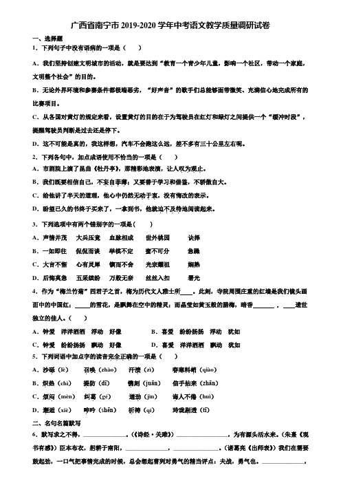 广西省南宁市2019-2020学年中考语文教学质量调研试卷含解析