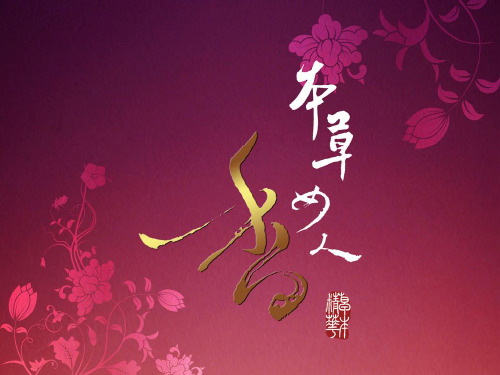 本草全息能量疗法