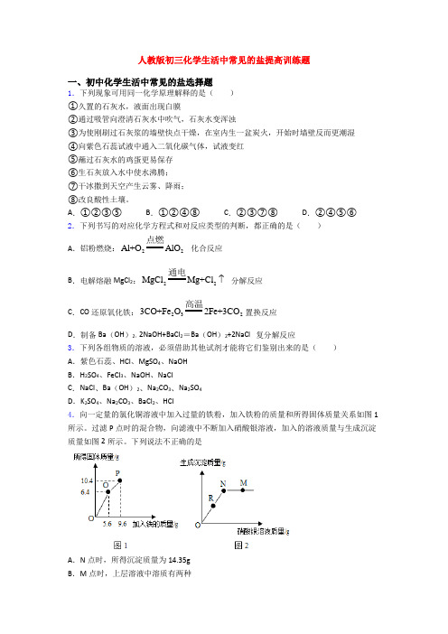 人教版初三化学生活中常见的盐提高训练题