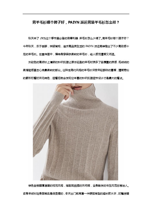 男羊毛衫哪个牌子好,PAIYN派运男装羊毛衫怎么样?