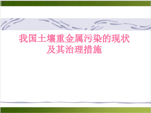 我国土壤重金属污染的现状及其治理措施培训课件(PPT 46张)