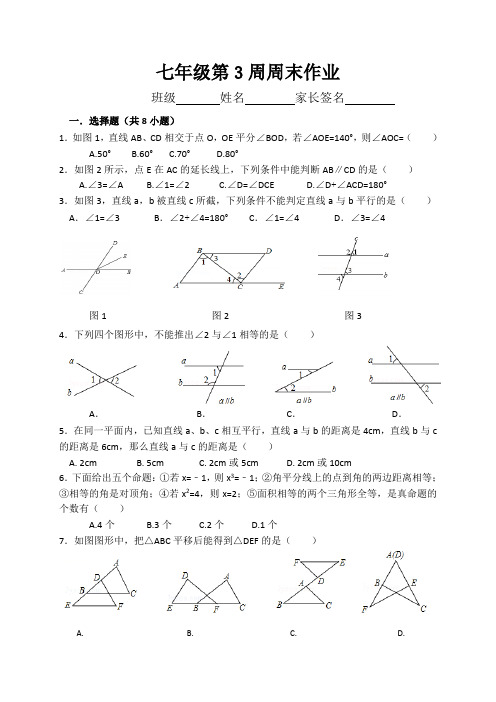 七年级第3周周末作业